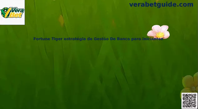 Estratégia de gestão de banca Fortune Tiger para iniciantes