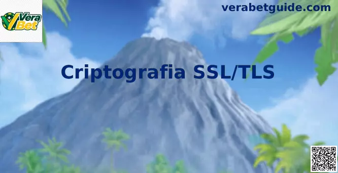 Conexão Segura com Criptografia SSL/TLS e Certificado Digital HTTPS